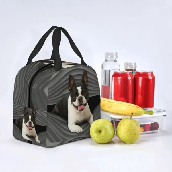 Boston Terrier Dog Portable Lunch Boxes for Women Leakproof Cute Puppy Thermal Cooler Food Insulated Lunch Bag School Student