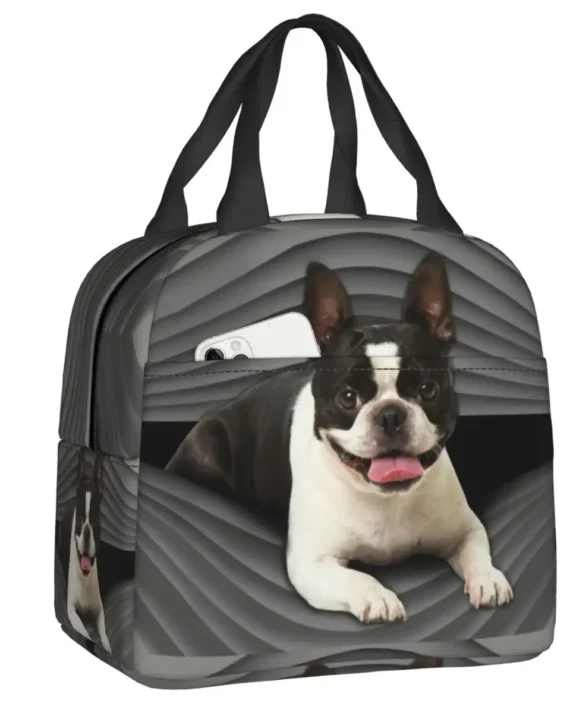 Boston Terrier Dog Portable Lunch Boxes for Women Leakproof Cute Puppy Thermal Cooler Food Insulated Lunch Bag School Student